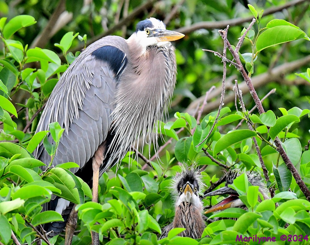 DSC_3392_001.JPG