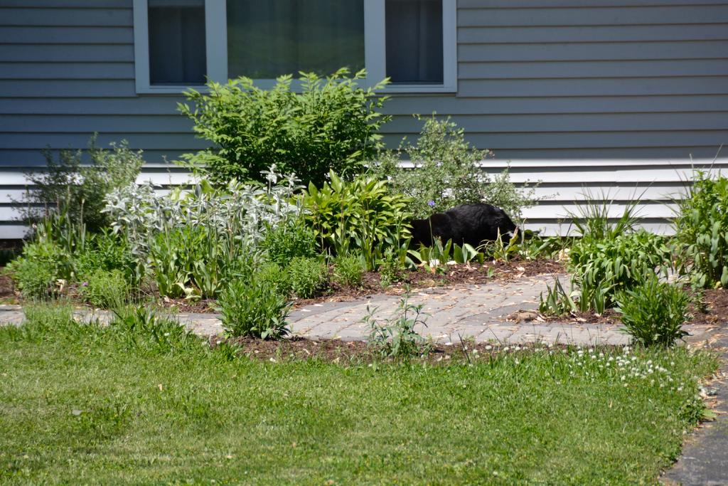 DSC_3393.jpg
