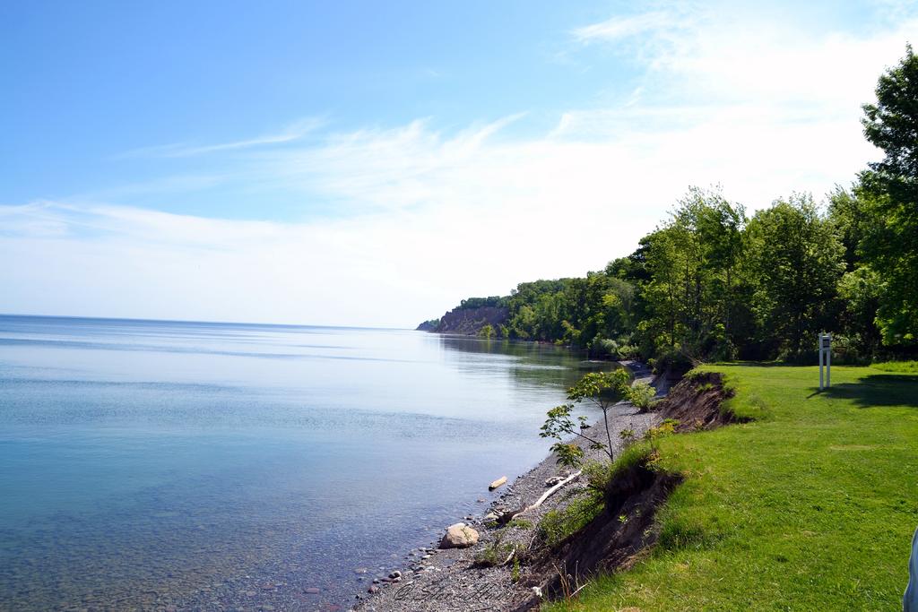 DSC_3396.jpg