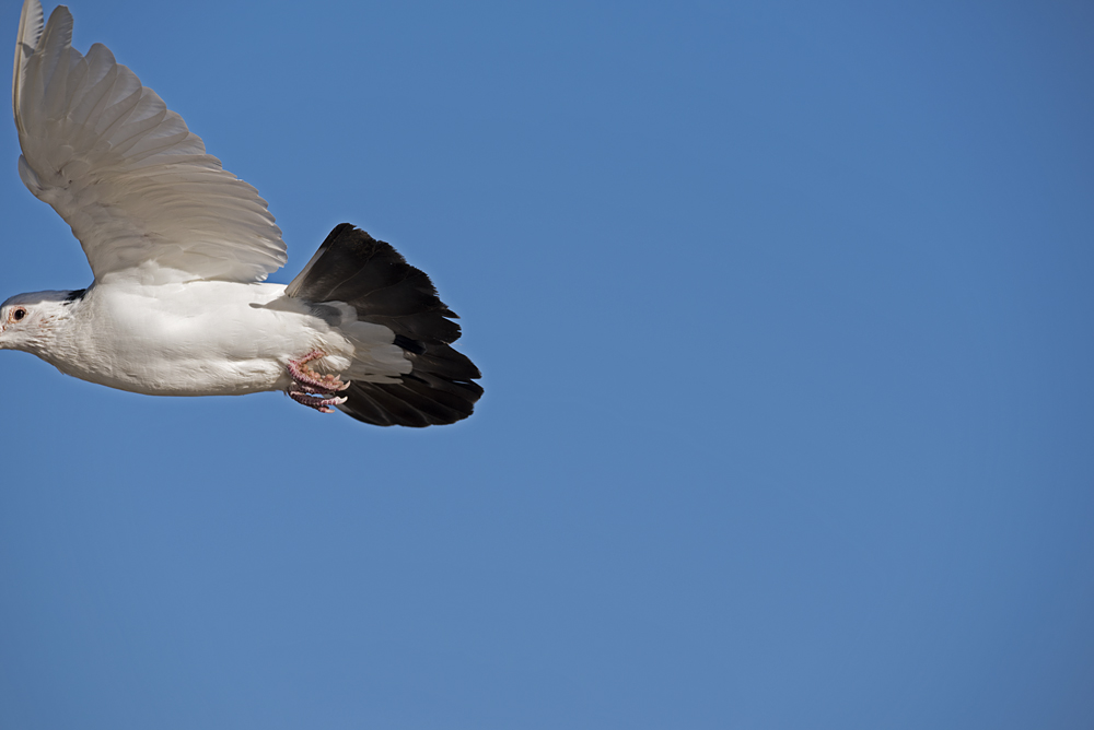 DSC_3399.jpg