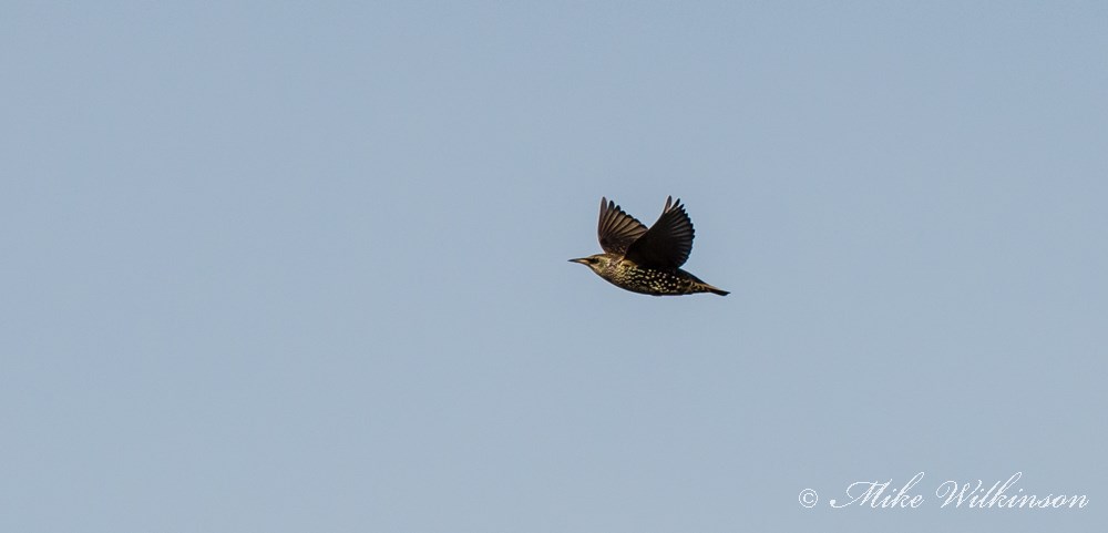 DSC_3400.jpg