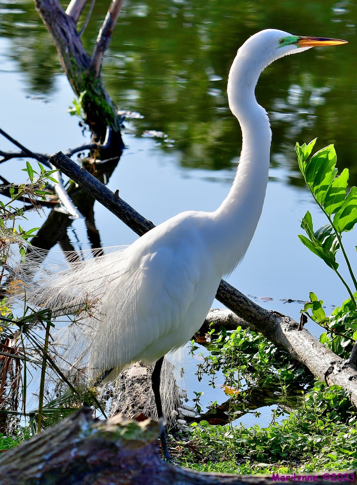 DSC_3400_001.JPG