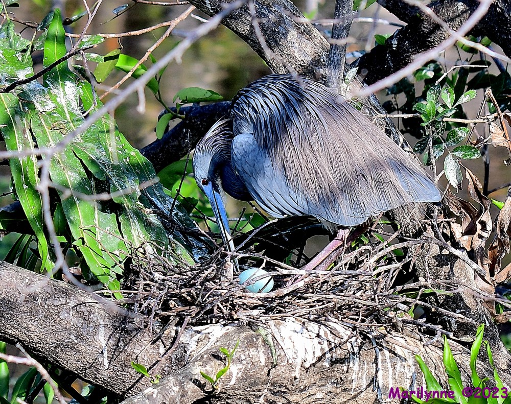 DSC_3405_001.JPG