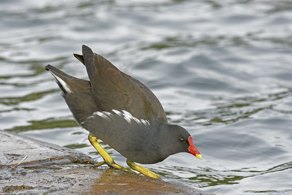 DSC_3407.jpg