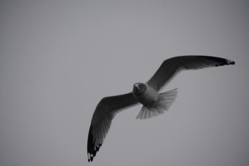 DSC_3409.jpg