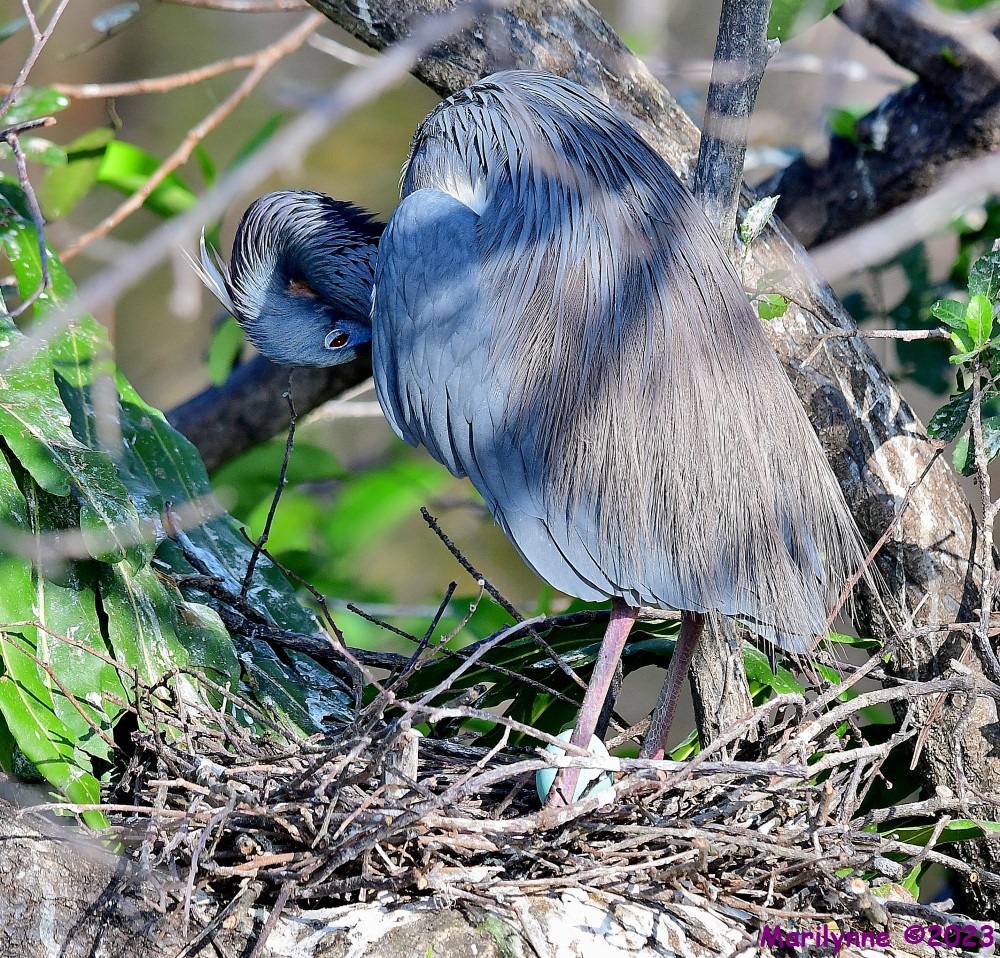DSC_3409_001.JPG
