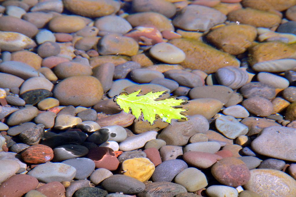 DSC_3410.jpg
