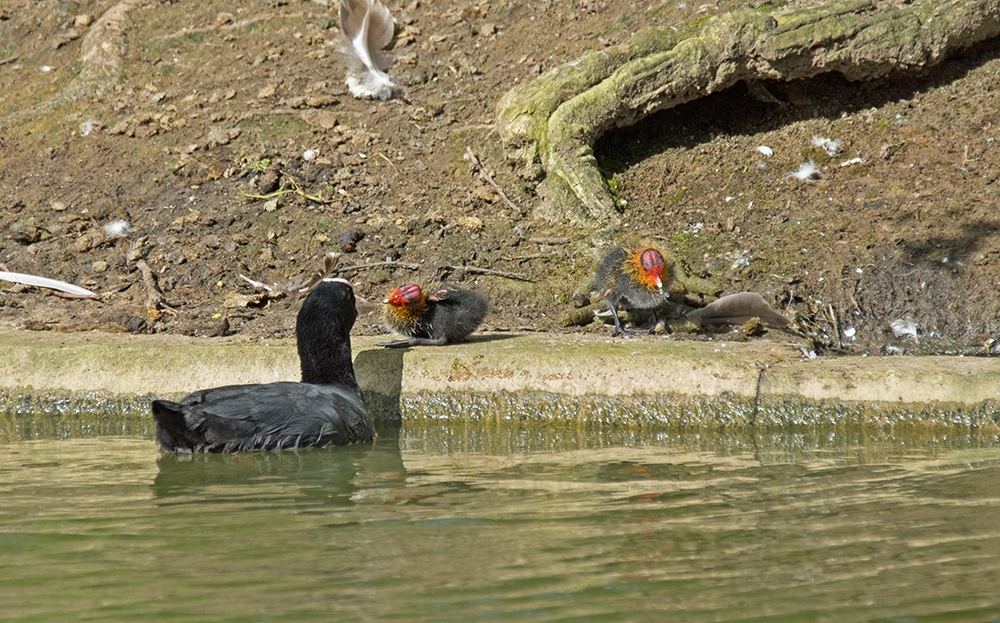 DSC_3415.jpg
