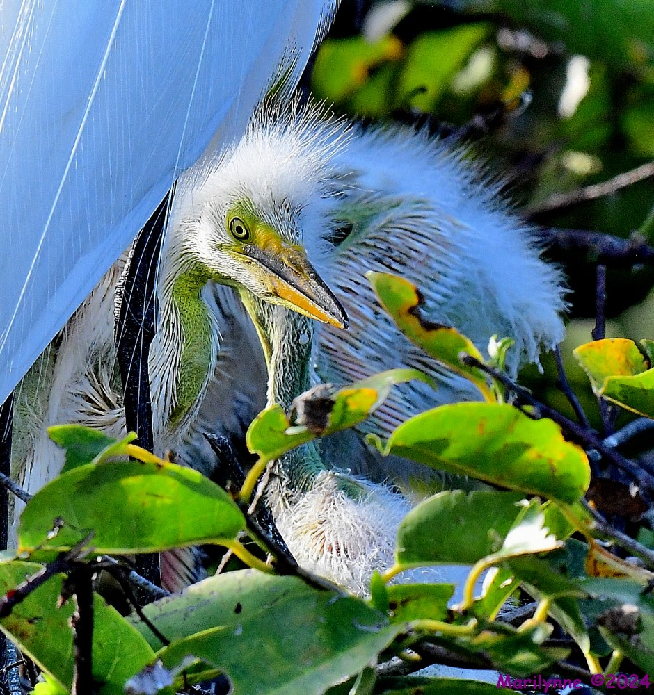 DSC_3415_001.JPG