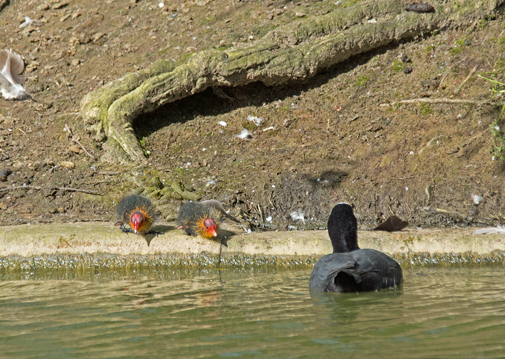 DSC_3417.jpg