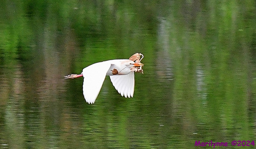 DSC_3418_001_01.JPG