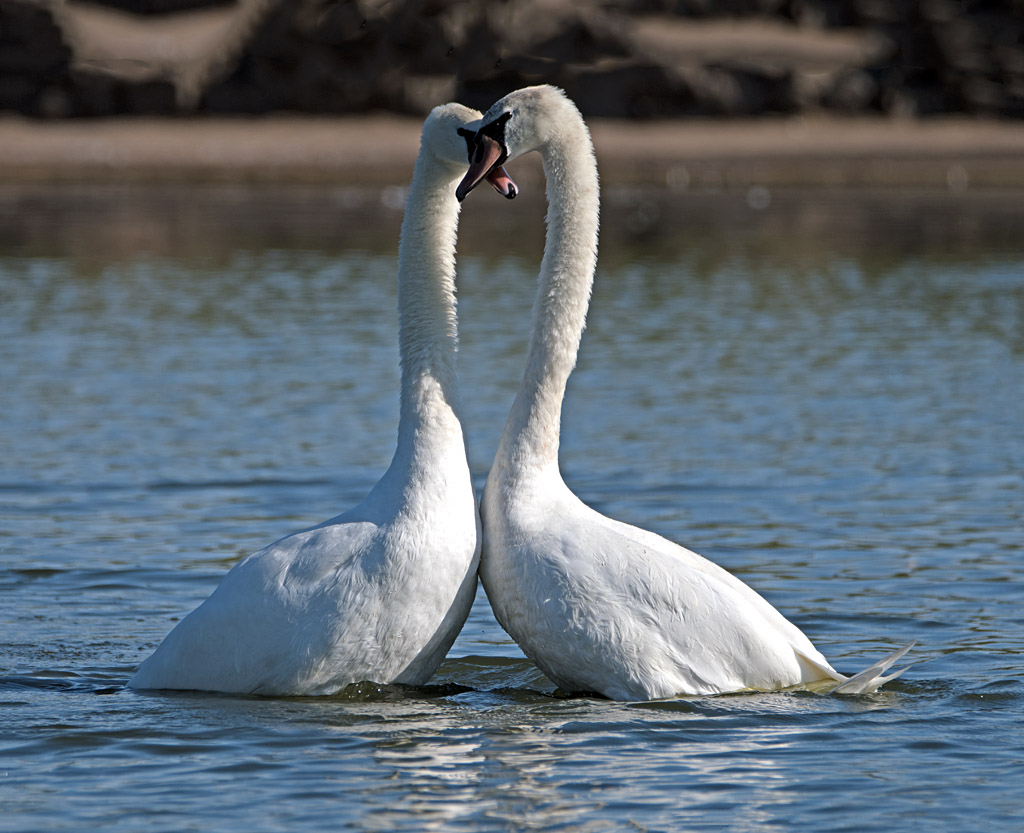 DSC_3419.jpg
