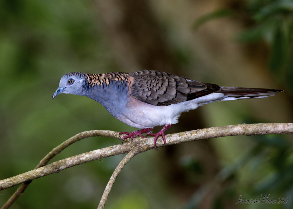 DSC_3420.jpg