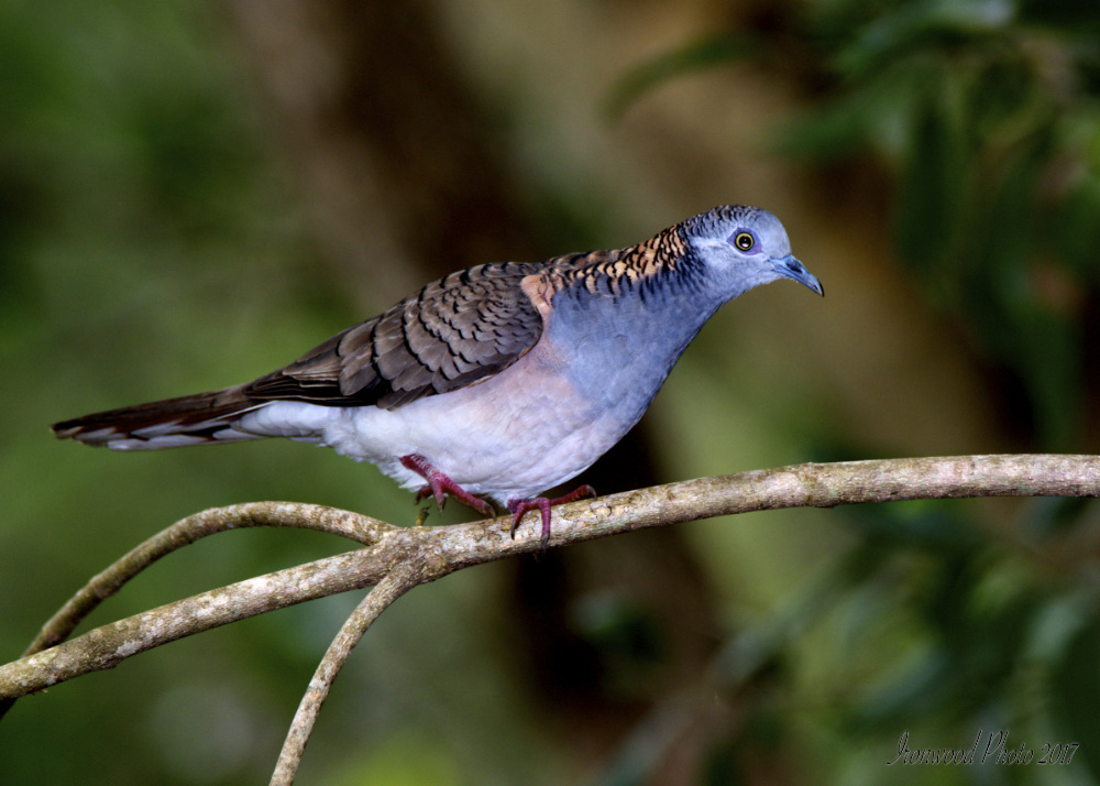 DSC_3421.jpg