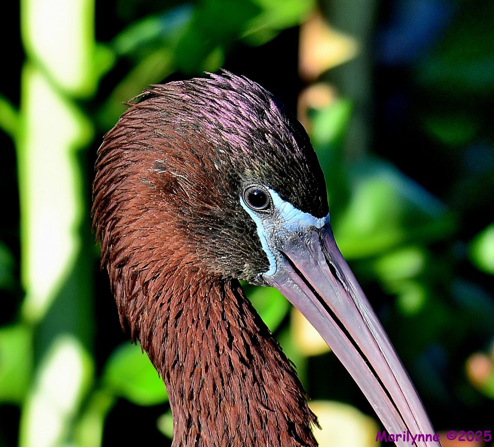 DSC_3423_001.JPG
