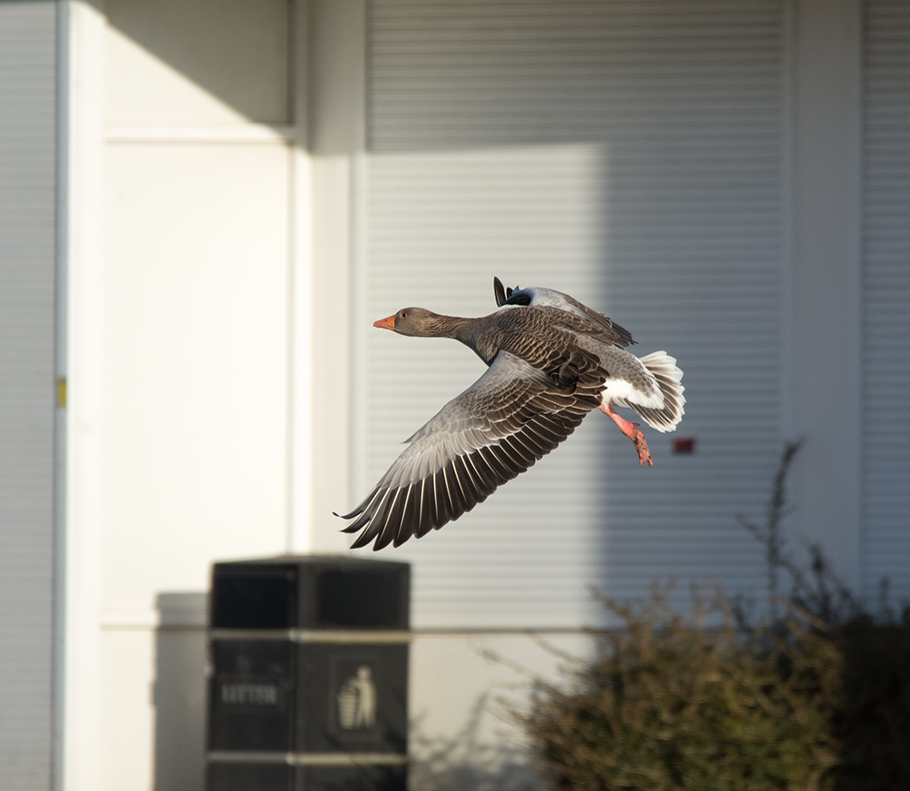 DSC_3424.jpg