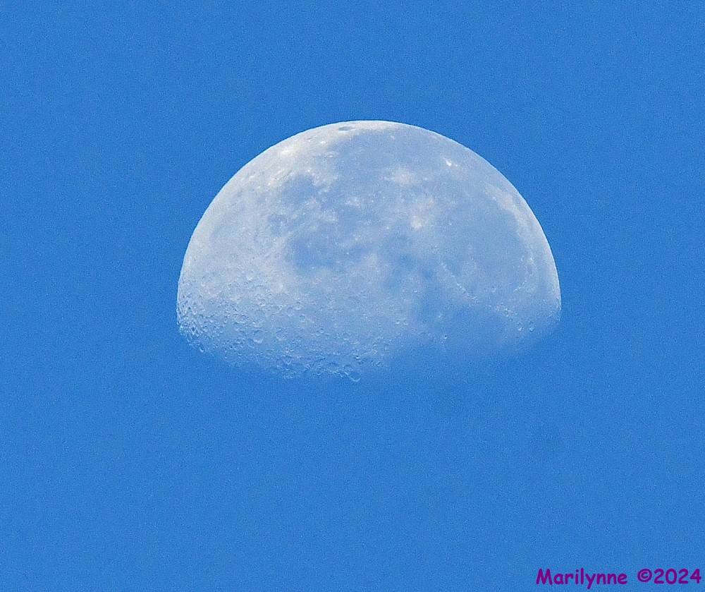 DSC_3427_001.JPG