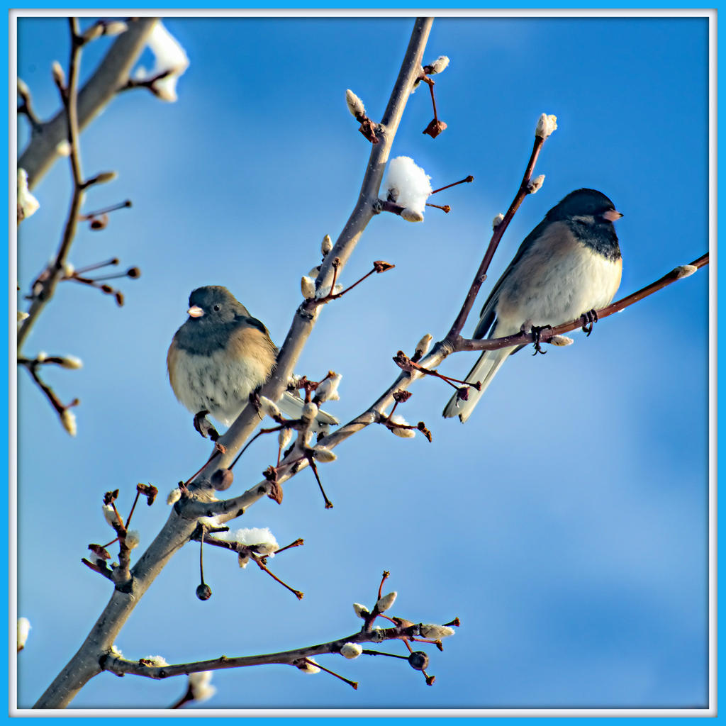 DSC_3428-Edit.jpg