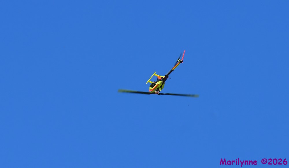 DSC_3428_001.JPG