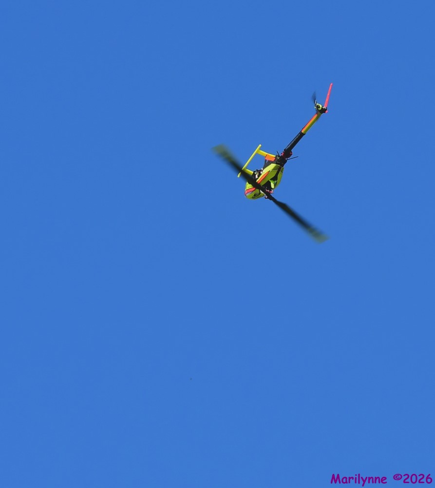 DSC_3429_001.JPG