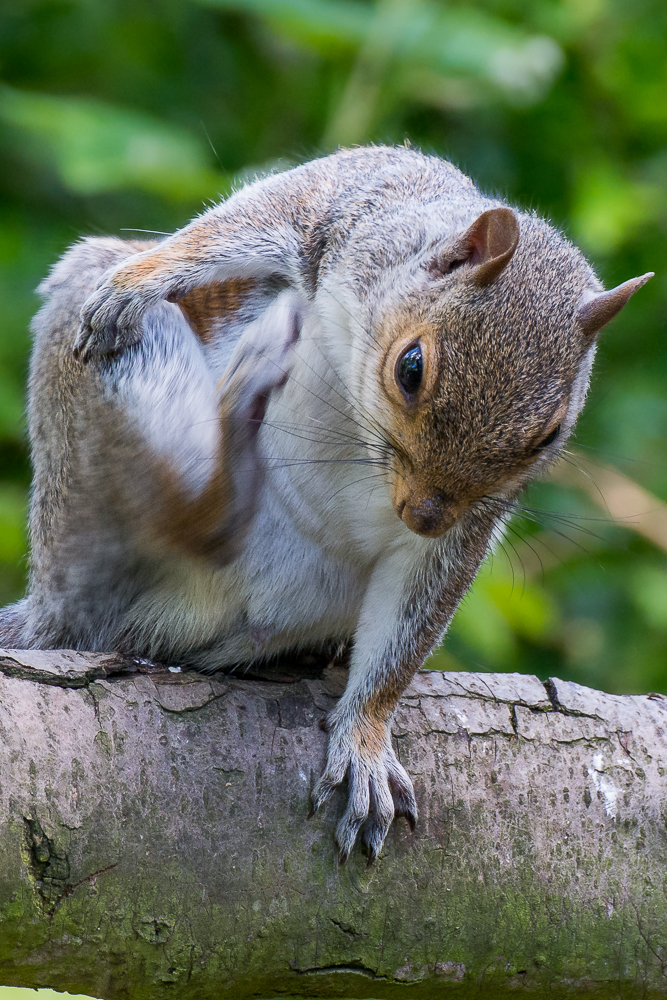DSC_3430.jpg