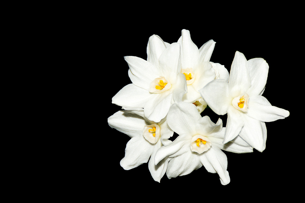 DSC_3431-Edit.jpg