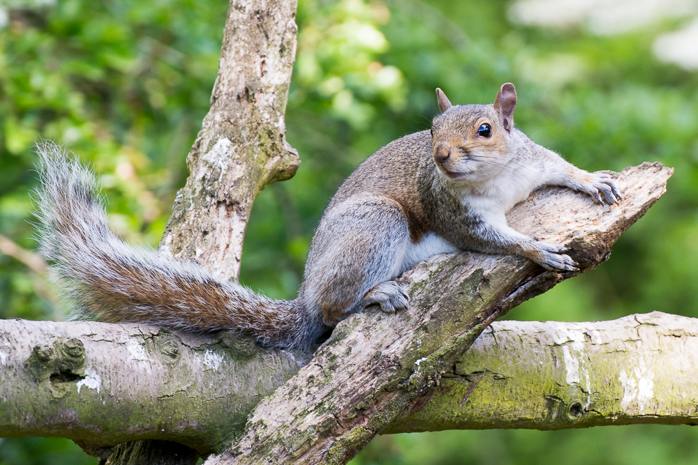 DSC_3434.jpg