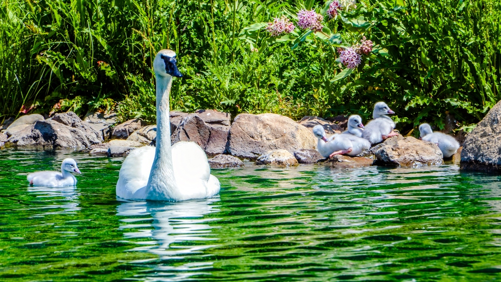 DSC_3439.jpg