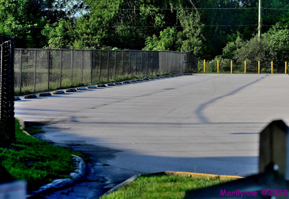 DSC_3441_stitch6_001.JPG