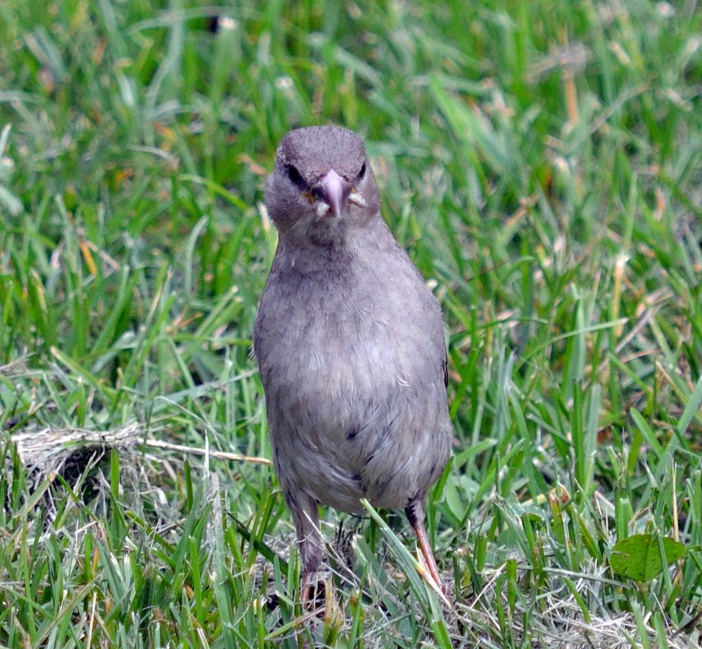 DSC_3443.jpg