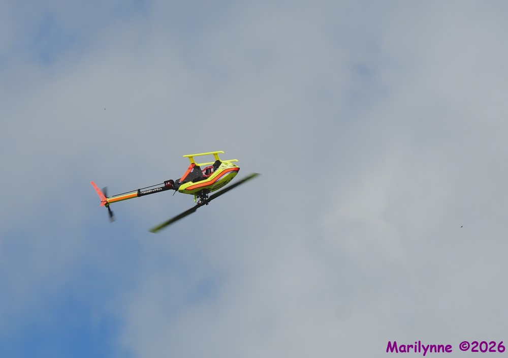 DSC_3445_001.JPG