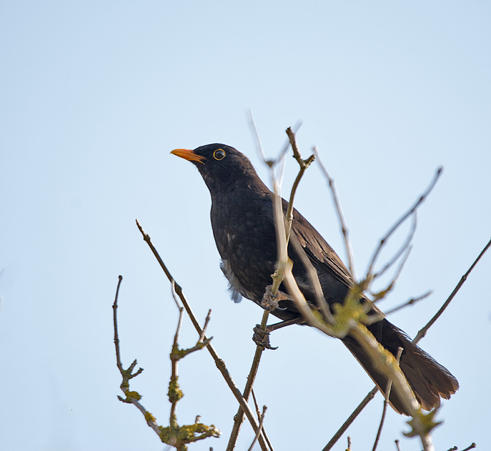 DSC_3446.jpg