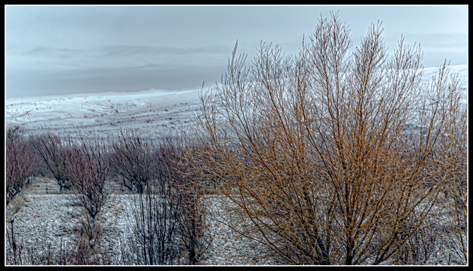 dsc_3447-edit-jpg.399982