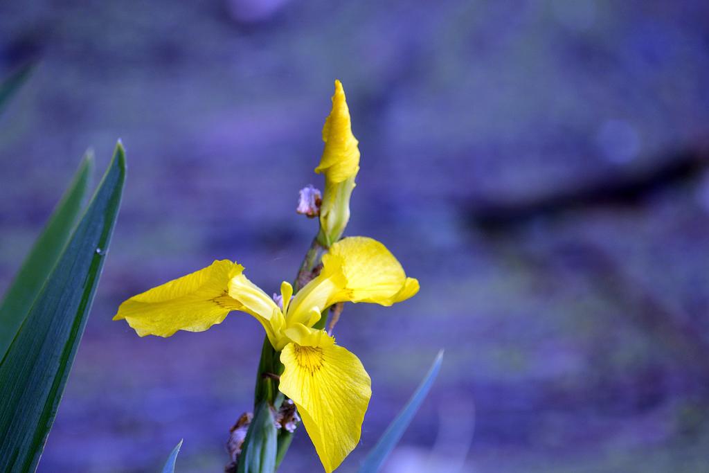 DSC_3448.jpg