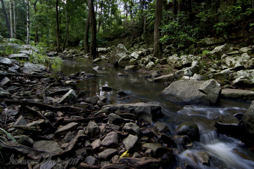 DSC_3451.jpg