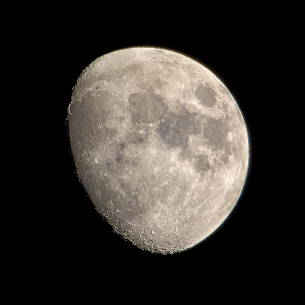 DSC_3453.jpg
