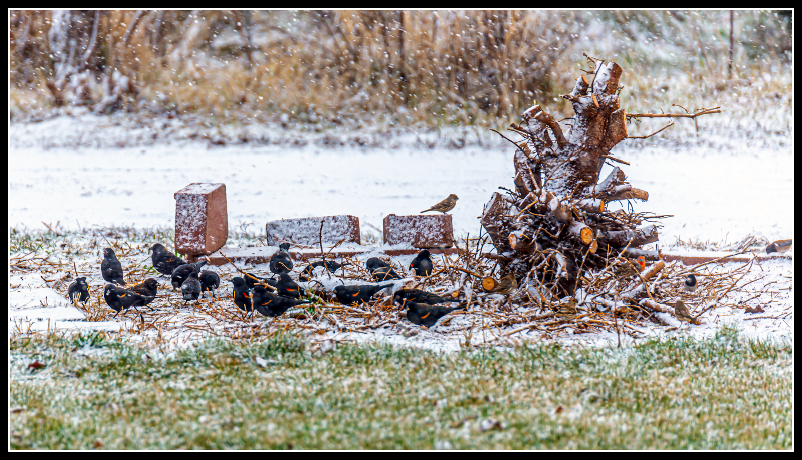 DSC_3454.jpg
