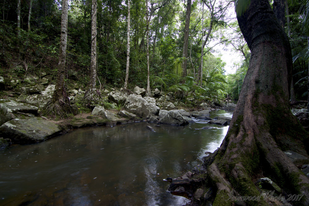 DSC_3455.jpg