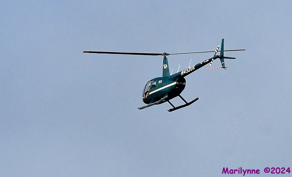 DSC_3460_001.JPG