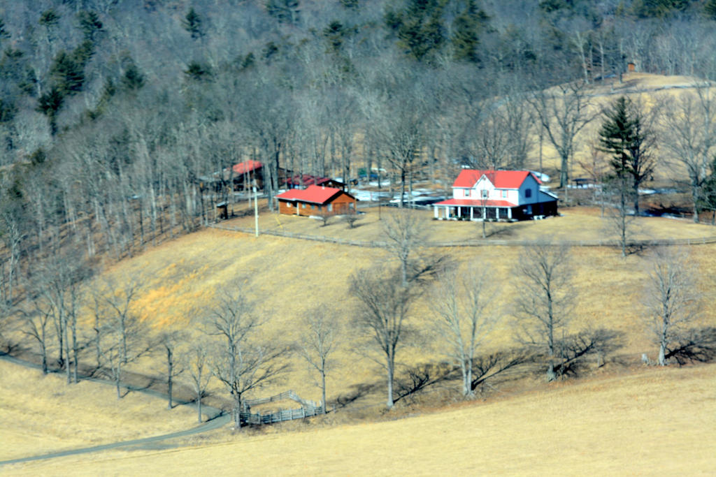 DSC_3463.jpg