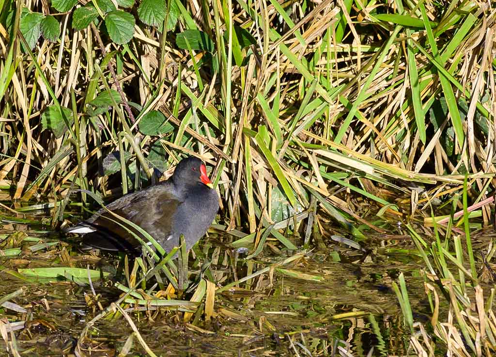 DSC_3463.jpg