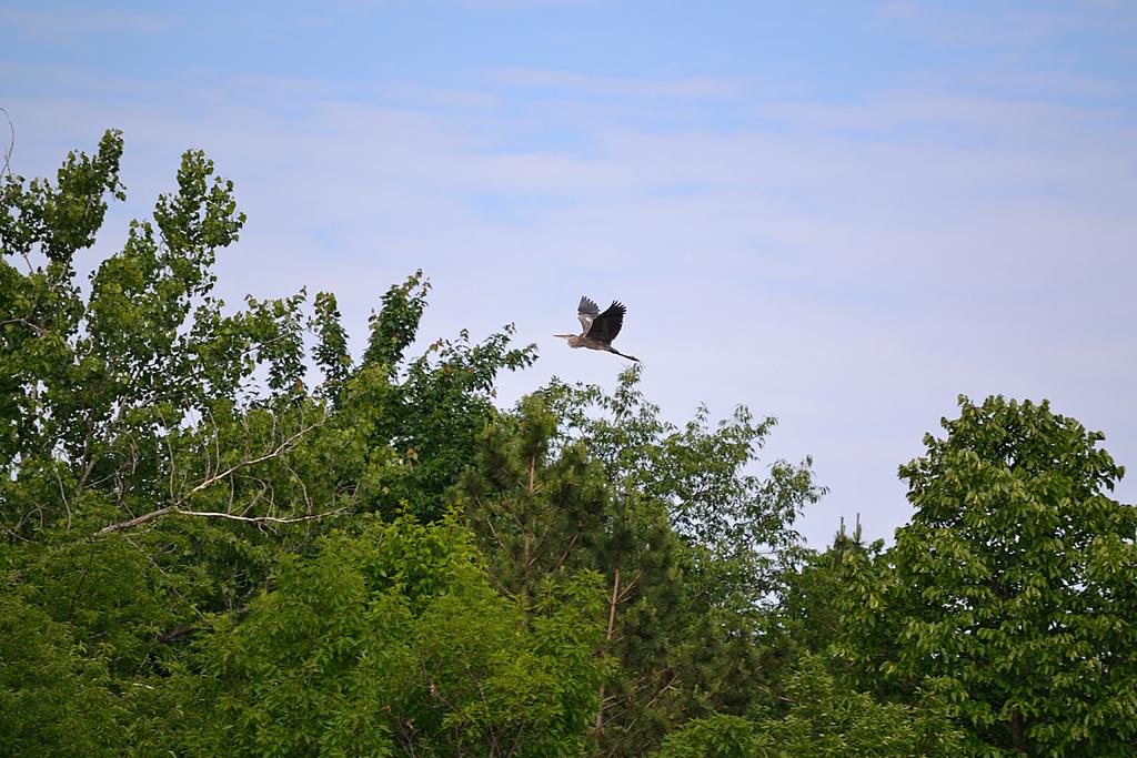 DSC_3463.jpg