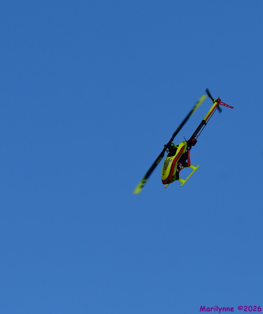 DSC_3463_001.JPG