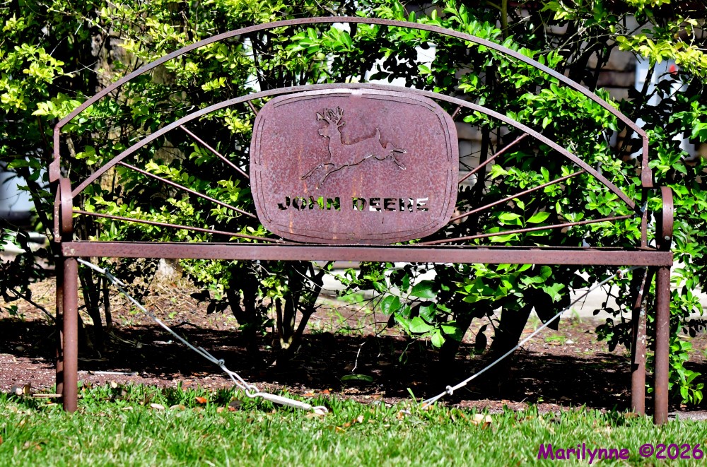 DSC_3463_stitch_001.JPG