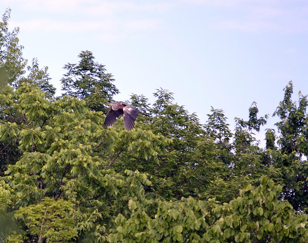 DSC_3465.jpg