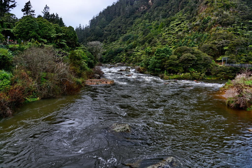 DSC_3469.jpg