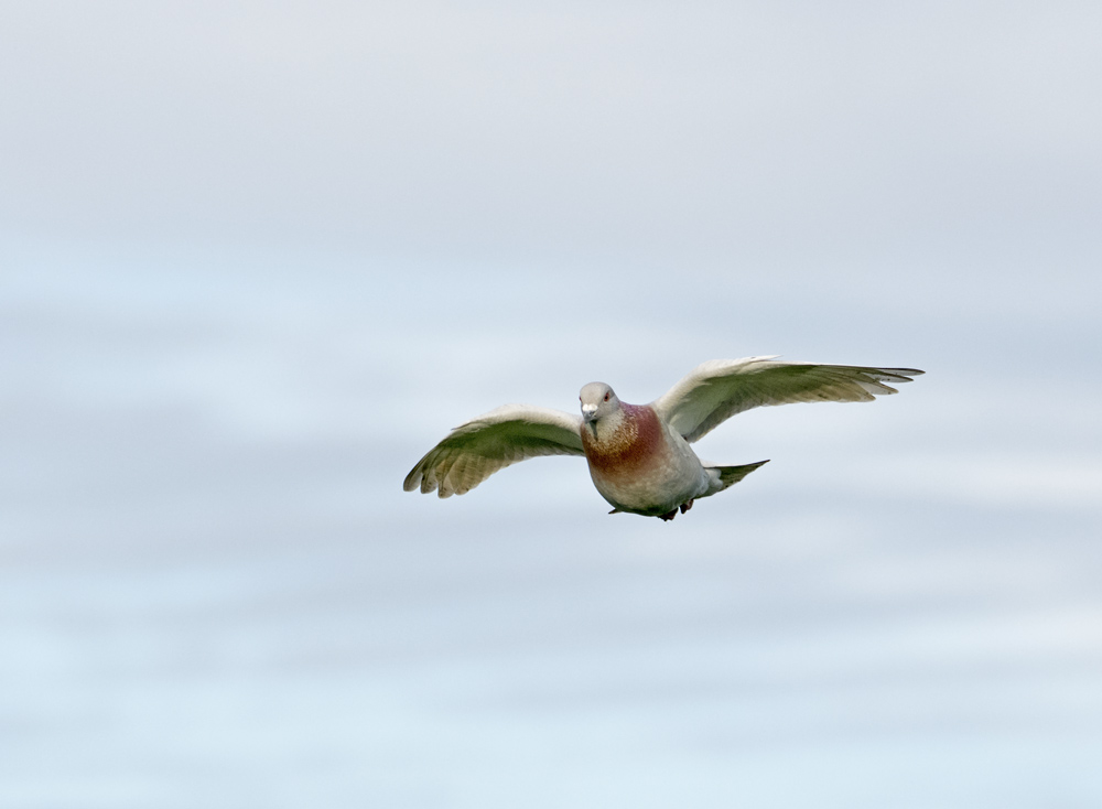 DSC_3473.jpg