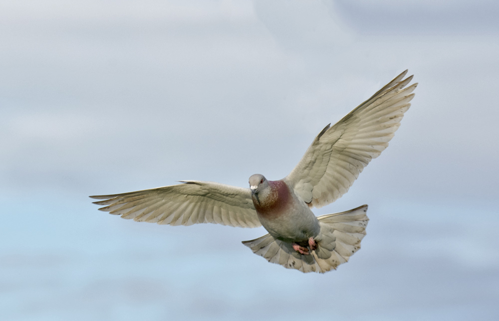 DSC_3475.jpg