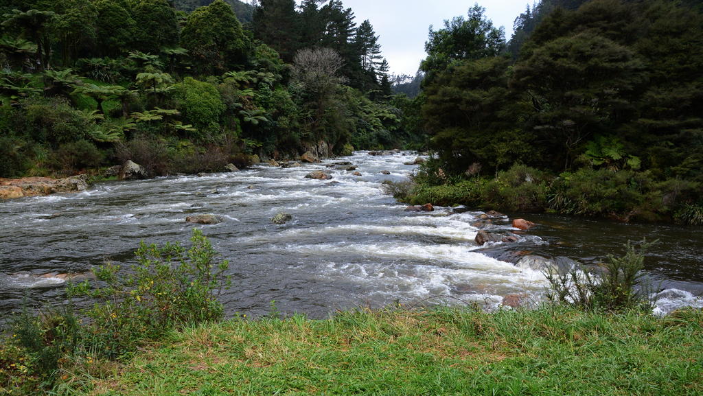 DSC_3475.jpg