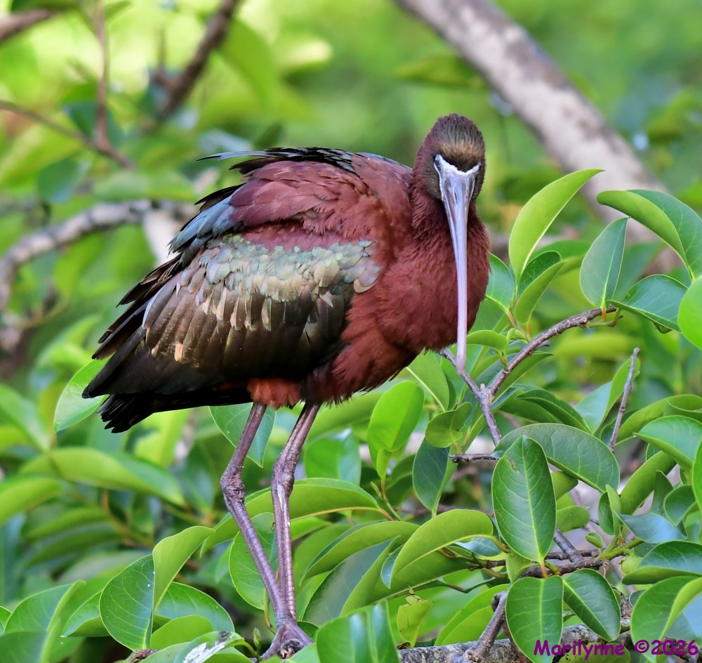 DSC_3476_001.JPG